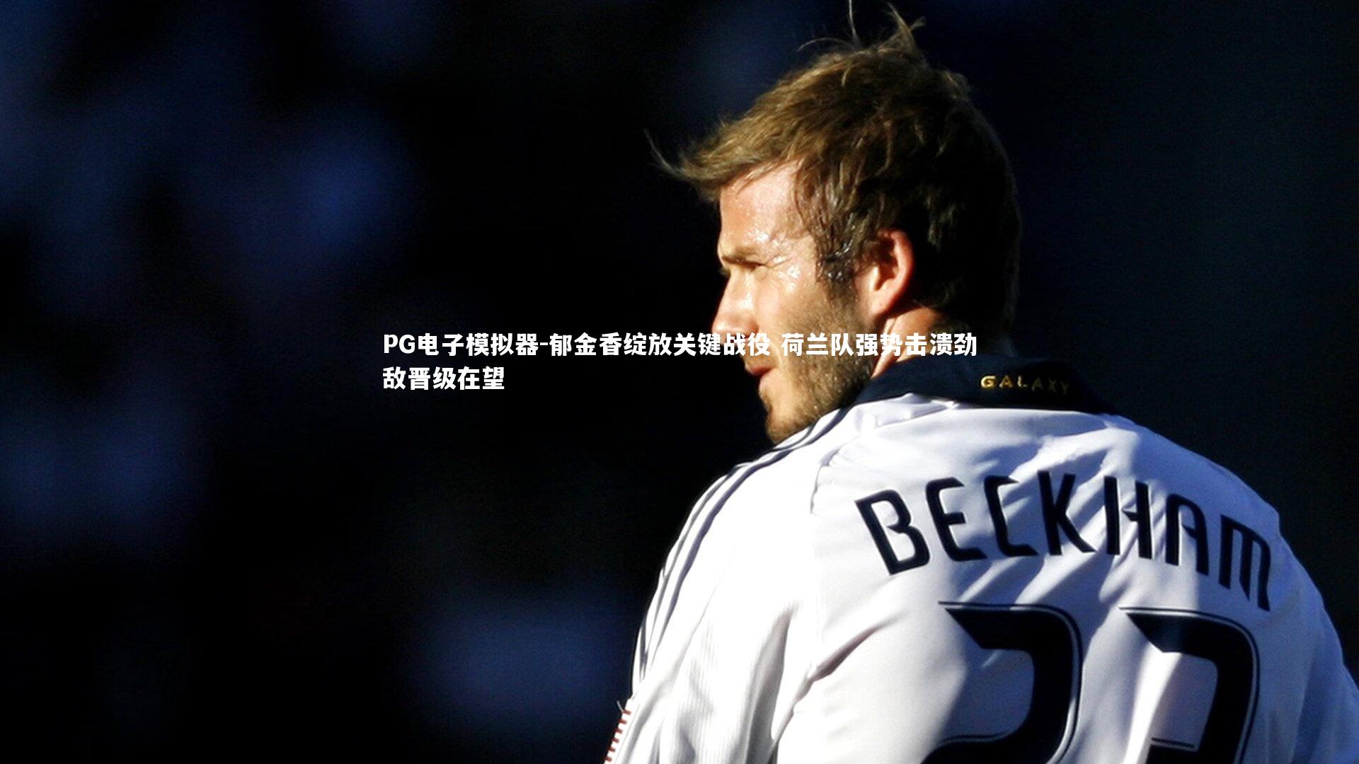 PG电子模拟器-郁金香绽放关键战役 荷兰队强势击溃劲敌晋级在望